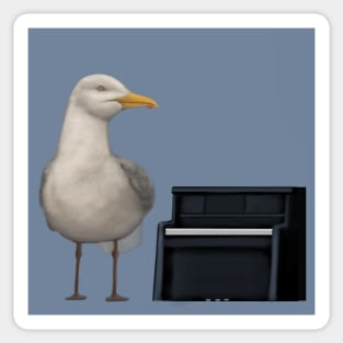 Musical Seagull Sticker